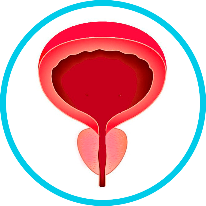 Prévention de la prostatite